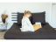 Childhome Drevený stupienok Natural White
