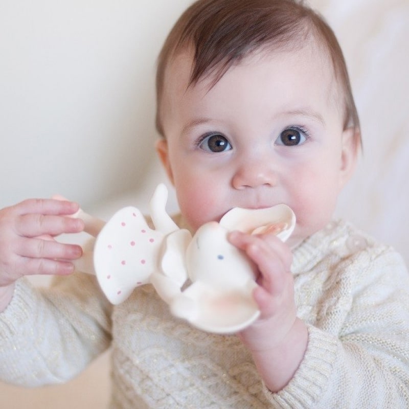 Meiya Alvin piskalo/teether (100 % naravna guma) (slonček Alvin)