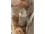 Little Dutch Desiatový set (fľaša 400ml+box) Farma