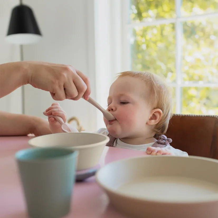 BIBS tanier a miska s vrchnákom (Sage)