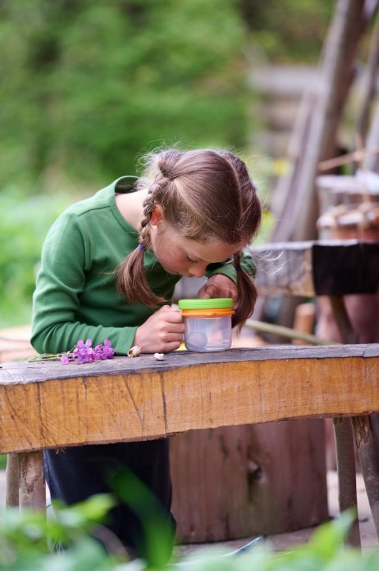 Haba Terra Otroška posoda za žuželke s povečevalnim steklom 3v1