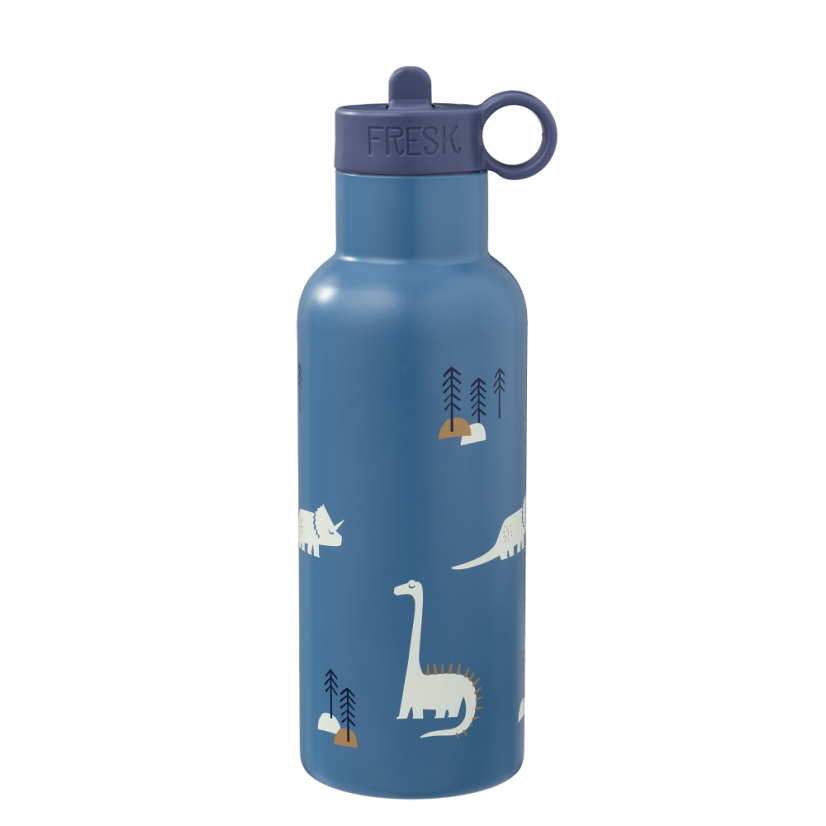 Fresk Nordic termofľaša dino, 500 ml