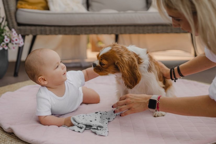 Hracia podložka Sleepee Royal baby Playing Mat Green