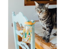 Quokka Plastová fľaša s náustkom Glow Kids Forest 580 ml